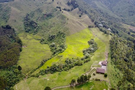 Publik y Celsia se unen para restaurar 30 hectáreas de la cuenca del río Otún con 100,000 árboles nativos