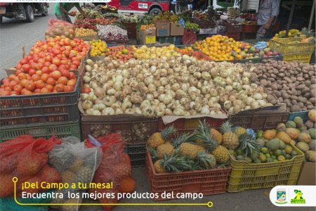 Durante el mes de junio de 2023 se resaltará la labor de la gente del campo en Buenaventura