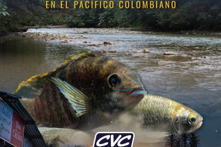 Conozca el sorprendente acuario natural de San Cipriano