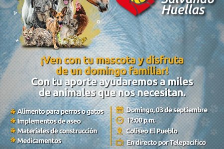 Atención vallecaucanos!  Comenzó el conteo regresivo para demostrar la solidaridad en la Donatón &lsquo;Salvando Huellas&rsquo;