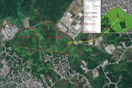 La Alcaldía Distrital de Buenaventura recuperó 18.5 hectáreas de terrenos para la ciudad