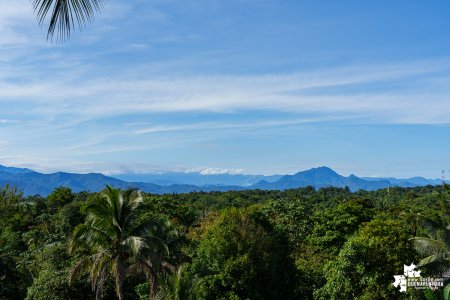 La CVC emitió circular para gobernadora, alcaldes y comunidad del Valle del Cauca por temporada seca y Fenómeno de El Ni&ntilde;o