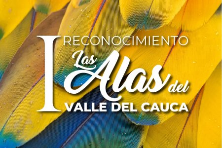 Vallecaucanos que trabajan por la protección de las aves y sus ecosistemas serán reconocidos