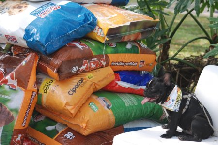 &lsquo;Salvando Huellas&rsquo; 2023 rompió récord con 16 mil kilos de alimentos recolectados en el Valle del Cauca