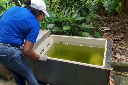 Adelantan acciones de control del Dengue y Malaria en Ciudadela San Antonio