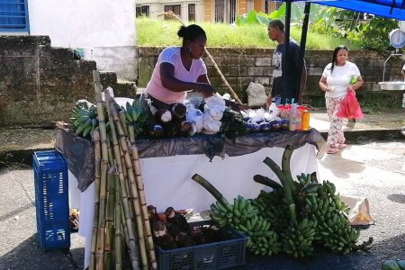 La Secretaría de Desarrollo Económico realizó Mercado Campesino