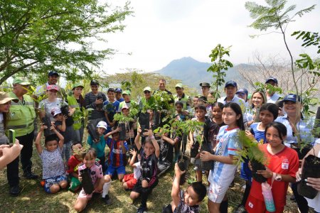 El Cerrito será el hogar del árbol 8 millones y de un nuevo bosque urbano