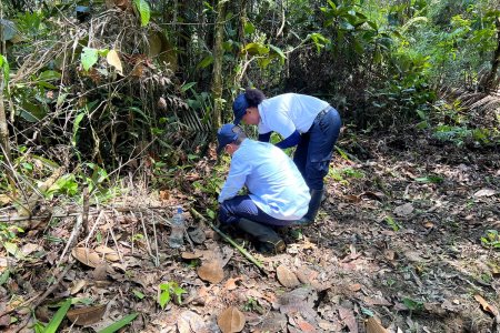 400 árboles fueron sembrados en la vereda La Esperanza en Buenaventura