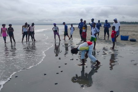 500 neonatos de tortugas marinas fueron liberados en Buenaventura