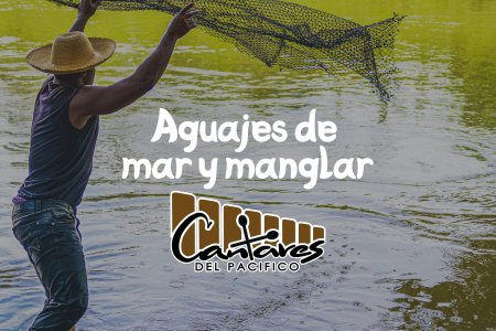 Comunicado de la Agrupación Cantares del Pacífico en la que aclara el proceso de cómo se consiguió el apoyo para viajar a la gala de los Grammy Latinos en Sevilla, Espa&ntilde;a