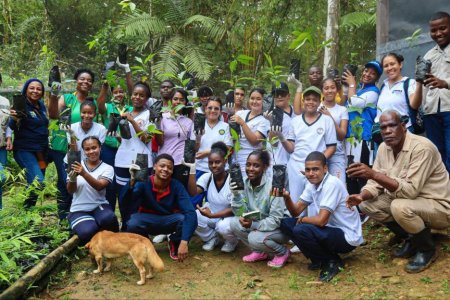 Más de 30 estudiantes de colegios públicos y privados participan en Campa&ntilde;a Ambiental Siembratón