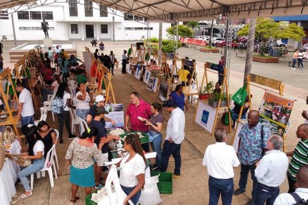 Éxito total en la Vitrina Verde de Buenaventura que organizó la CVC
