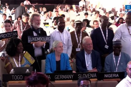 La &lsquo;Partería: conocimientos, habilidades y prácticas&rsquo; fue declarada patrimonio cultural inmaterial de la humanidad por parte de la Unesco