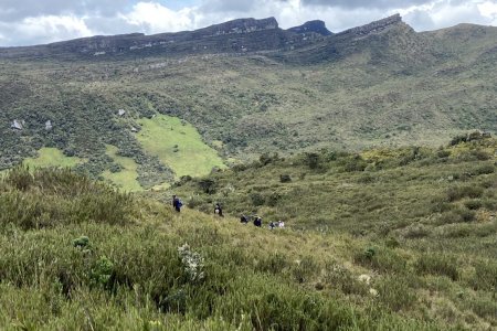 Constituyen siete resguardos indígenas, cinco consejos comunitarios de comunidades negras y aprueban ocupación campesina en Zonas de Reserva Forestal
