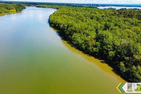 Con imágenes aéreas el EPA realizará estudio multitemporal del estado de los manglares