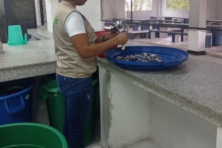 El operador del Programa de Alimentación Escolar adelanta proceso de alistamiento en las instituciones educativas de Buenaventura