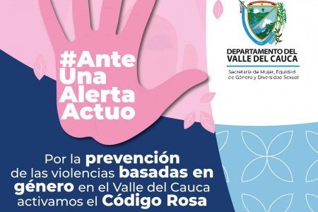 “Garantizar la vida de las vallecaucanas es nuestro compromiso”: Gobernadora declara en máxima alerta el Código Rosa