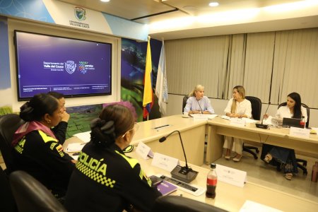 Sensibilización en nuevas masculinidades, una apuesta para proteger a las vallecaucanas