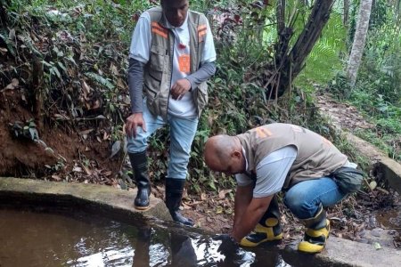 La Gobernación del Valle continúa sus acciones preventivas contra el vector del dengue