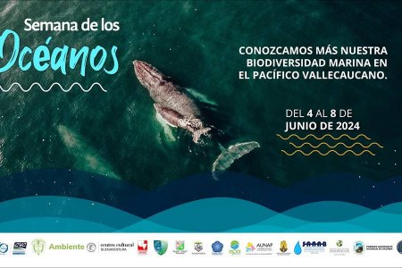 Se realizará la Semana de Los Océanos en Buenaventura