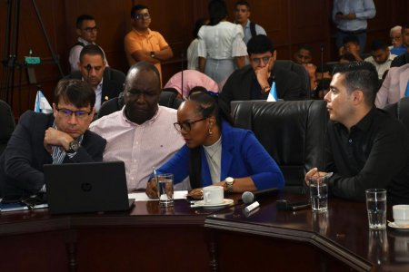 El Valle del Cauca cuenta con un innovador Plan de Agroecológico para producir alimentos sin químicos