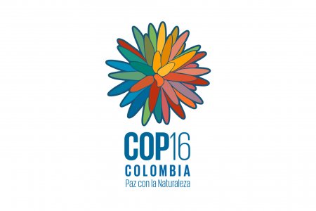 El Valle del Cauca declara la Alerta Naranja Hospitalaria por la COP16