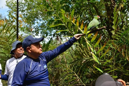 Se realizó la liberación de 74 animales de la fauna silvestre en La Bocana