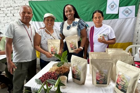 La Gobernación abrió la convocatoria Valle Café, se renovarán más de 7 millones de cafetos
