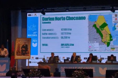 Colombia celebra la declaratoria de UNESCO de la séptima Reserva de Biosfera en Colombia: el Darién Norte Chocoano