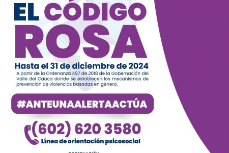 Gobernadora ordena activar el Código Rosa en el Valle del Cauca, para prevenir violencias basadas en género