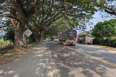 Tras llamado de la Gobernadora, concesionario redise&ntilde;ará trazado de la vía  Buga-Buenaventura para evitar arboricidio
