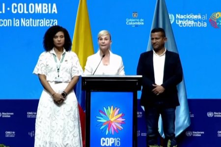 La Gobernadora del Valle hace llamado a la cooperación internacional para proteger biodiversidad en la instalación de la COP16