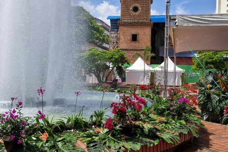 La Plazoleta de San Francisco, una gran vitrina para 600 negocios verdes del país