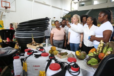Angela Reyes, la bonaverense que está innovando la Agricultura del Valle