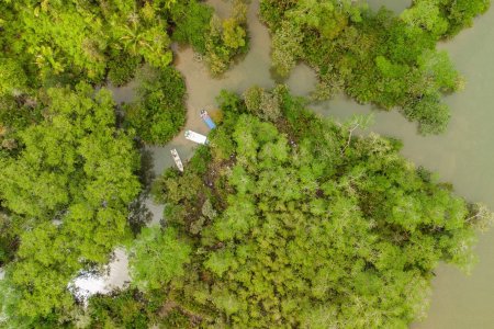 La Vereda Gamboa en Buenaventura: Nueva Área Protegida en el Valle del Cauca