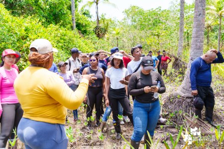 Se realizó jornada ambiental por la conservación de los manglares en Bazán La Bocana