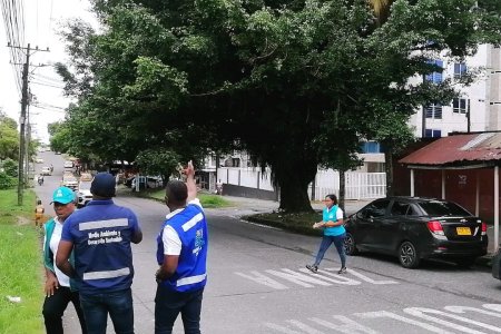 Se realizará diagnóstico arbóreo en avenida Simón Bolívar de Buenaventura dará paso a intervenciones