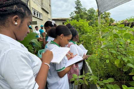 500 estudiantes de Buenaventura fortalecen la educación ambiental en sus instituciones