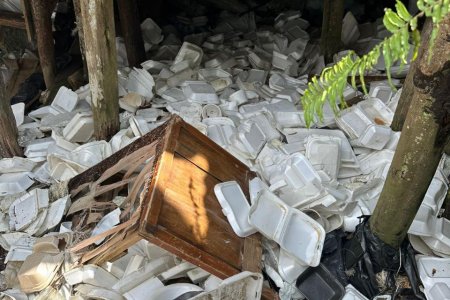 El EPA alerta sobre acumulación de icopor en zonas de bajamar de Buenaventura