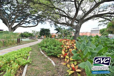 El Cerrito ya tiene su primer bosque urbano: El Samán