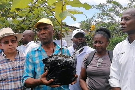 Alcaldía de Buenaventura y comunidad de la Comuna 12 avanzan en diagnóstico para proyecto Ecos Barrios de Paz