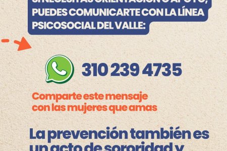 El Valle del Cauca registró cero feminicidios por tercer a&ntilde;o consecutivo gracias al Código Rosa