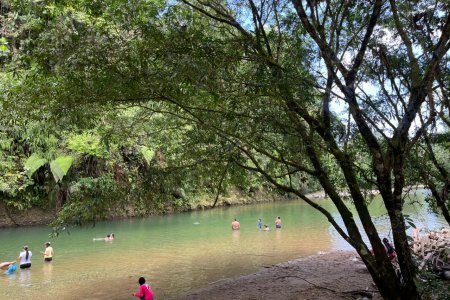 Festival Marimba Santa en San Cipriano fusiona cultura, turismo y economía en Semana Santa
