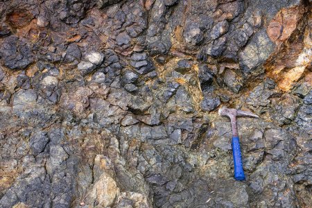 La Isla Gorgona se posiciona como laboratorio natural para la exploración de Marte