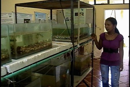 El programa de Acuicultura de la Unipacífico consolida vínculos con empresa Argentina