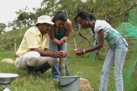Programa de Acuicultura de la Unipacifico acompaña a cultivadores de peces de la región del Pacífico colombiano