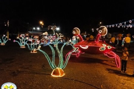 La Gestora Social invita a la comunidad para la inauguración del Alumbrado Navideño