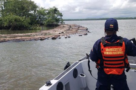 Armada Nacional mantiene la ofensiva contra delitos ambientales en el pacífico