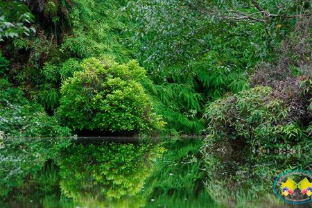 Secretaría de Turismo del Valle promociona a Buenaventura