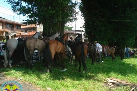 Cabalgata por la Nueva Buenaventura